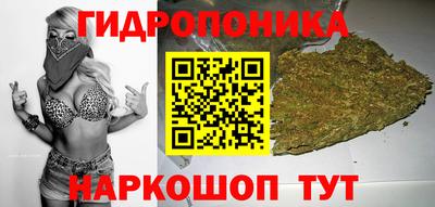 таблы Новокубанск
