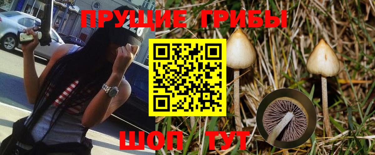 Псилоцибиновые грибы Magic Shrooms  Псилоцибиновые грибы Psilocybine cubensis  Строитель  Вход с VPN 