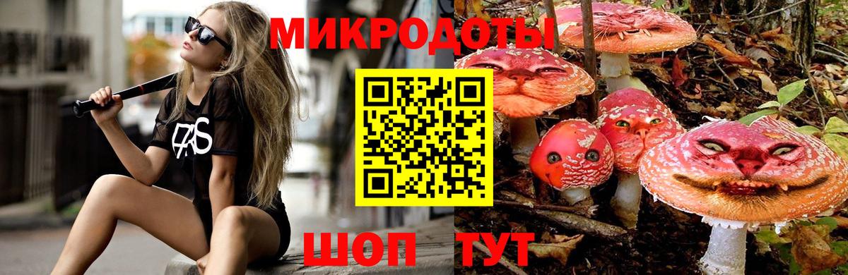 Галлюциногенные грибы прущие грибы Строитель